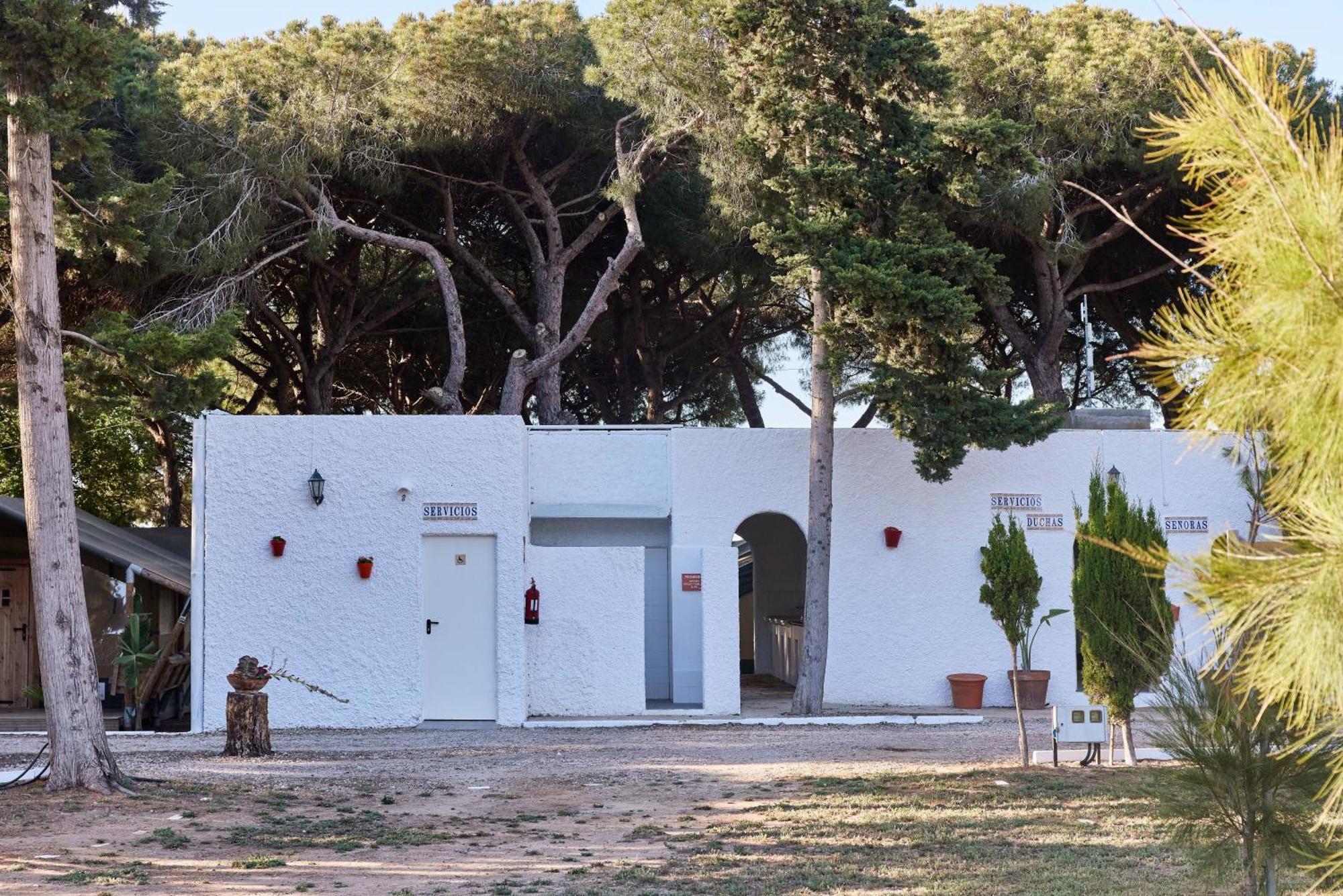 Taiga Conil Hotell Conil De La Frontera Rom bilde